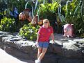 Click image for larger version

Name:	kathy and nemo.jpg
Views:	909
Size:	78.1 KB
ID:	1583