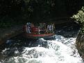 Click image for larger version

Name:	raft2.jpg
Views:	906
Size:	63.8 KB
ID:	1595