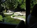 Click image for larger version

Name:	gators.jpg
Views:	861
Size:	60.0 KB
ID:	1598