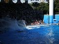 Click image for larger version

Name:	everyone gets wet.jpg
Views:	794
Size:	41.0 KB
ID:	1608